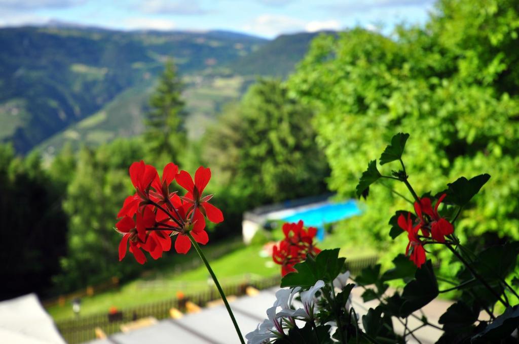 Bad St Isidor Otel Bolzano Oda fotoğraf